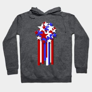 Stars & Stripes Hoodie